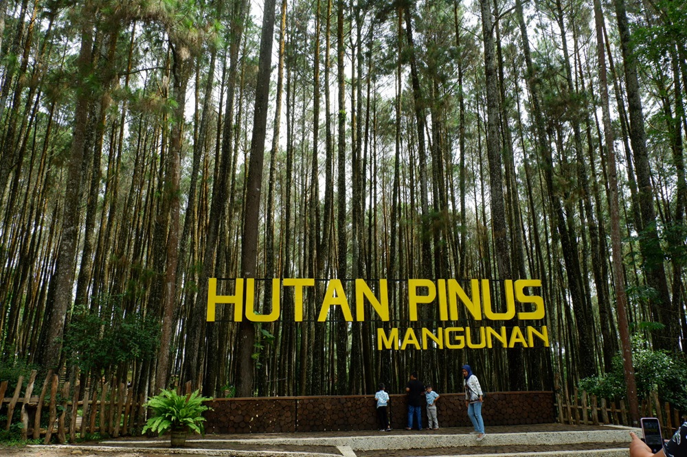 Hutan Pinus Mangunan
